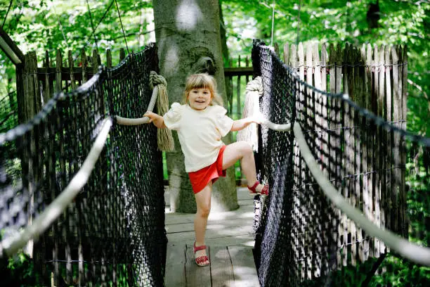 Cute little preschool girl walking on high tree-canopy trail with wooden walkway ropeways on Hoherodskopf in Germany. Happy active child exploring treetop path. Funny activity for families outdoors.