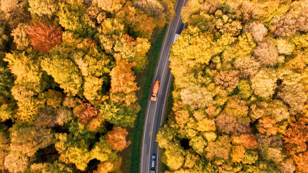 istock Traffic on a country road 1428935738