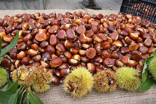 Sweet chestnut at a stand at a traditional gastronomic event, dedicated to a special type of chestnut that grows exclusively on the slopes of Učka - \