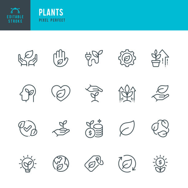 ilustraciones, imágenes clip art, dibujos animados e iconos de stock de plantas - conjunto vectorial de iconos lineales. píxel perfecto. trazo editable. el conjunto incluye una planta, hoja, energía verde, cuidado, ecosistema, planeta tierra, símbolo de reciclaje, plántula, high-five, crecimiento de ganancias. - environment