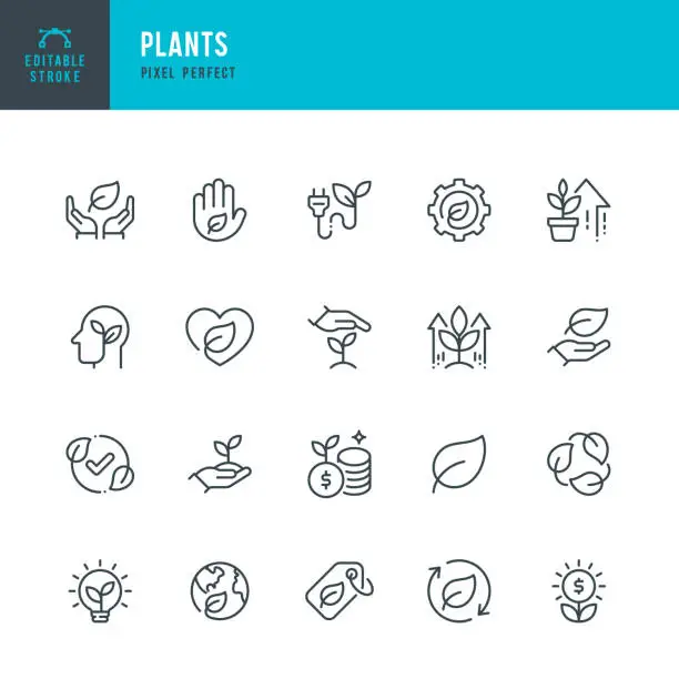Vector illustration of Plants - vector set of linear icons. Pixel perfect. Editable stroke. The set includes a Plant, Leaf, Green Energy, Care, Ecosystem, Planet Earth, Recycling Symbol, Seedling, High-Five, Profit Growth.