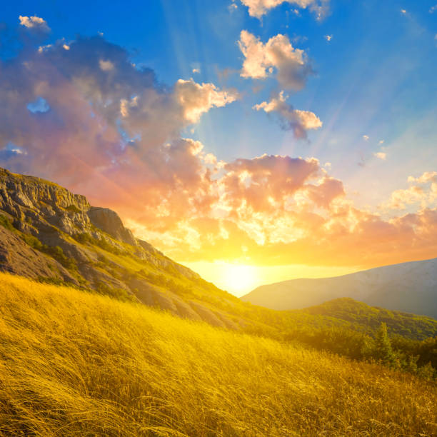 istock mountain valley at the dramatic sunset, natural mountain landscape 1428938712