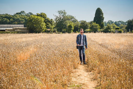 A caucasian man walking in a golden barley field in Little Rissington, Cotswolds, England, during autumn season