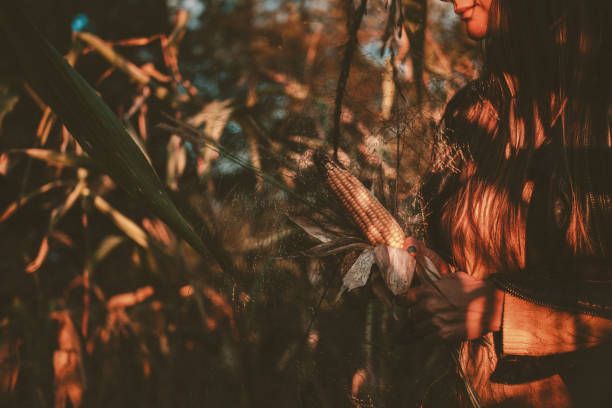 A woman holding a bouquet of corn and reeds in the sunset field.