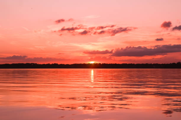 Surreal coral skies and calm waters to the treelined horizon. Dreamy cloudscape thru rose colored glasses.