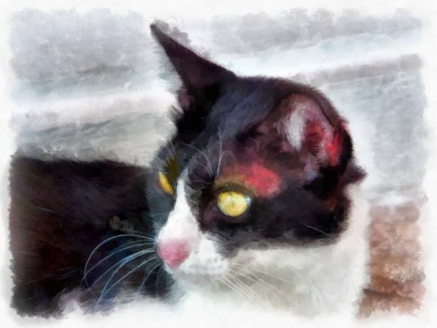 istock stray cats are black and white watercolor style illustration impressionist painting. 1428945050