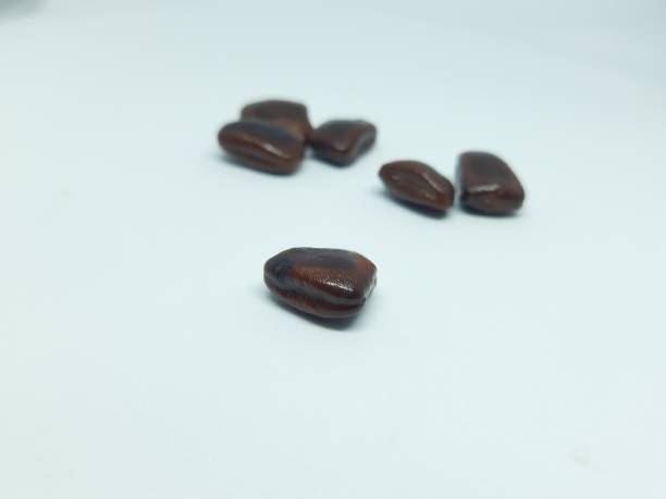 istock Tamarind seeds in white background. 1428947953