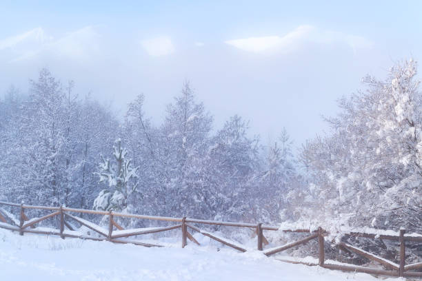 Winter christmas background - snow falling on wooden fence.