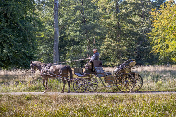 Dyrehaven, Copenhagen, Denmark - September 22th 2022: The horse driven carriages in Dyrehaven is a popular past time for tourists wanting to see the Danish nature. Dyrehaven is a large public deer park north of Copenhagen and is a UNESCO heritage site because its lay out as a royal hunting ground for par force hunting.