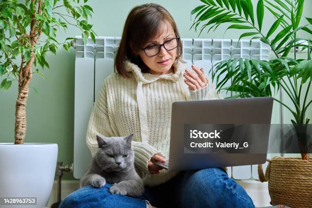 Middle Aged Woman Looking Int Laptop Making Video Conference Stock Photo - Download Image Now