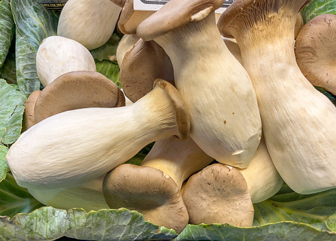 King oyster mushrooms