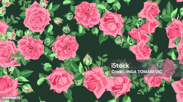 Design For Theme Roses Vector Roses Pattern Wedding Design Stock Illustration - Download Image ...