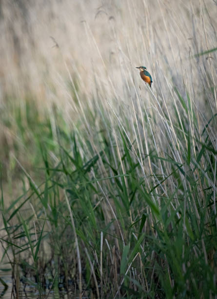 Photo taken in Durham, United Kingdom
