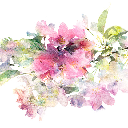 Greeting card with pink watercolor flowers
