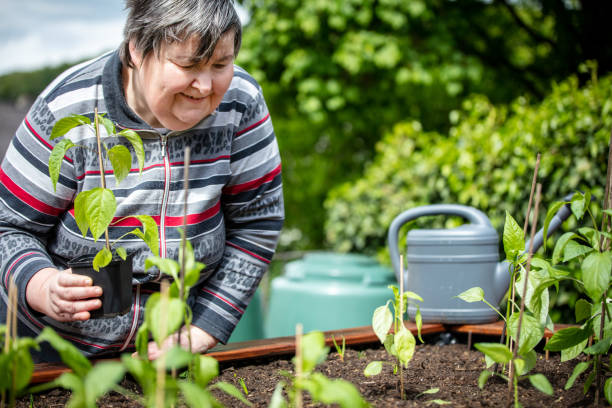 istock a woman plants peppers seedlings in a raised bed 1428970025