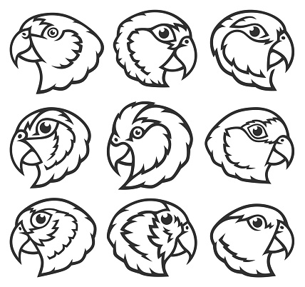 Stylized Birds - Parrots