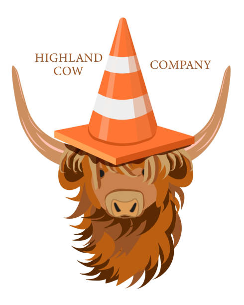 sense of humor Portrait of Highland cattle, cow with Traffic Cone on top of the Head. Cute head of Scottish cattle isolated on white background. Design element for logo, poster, card, banner, emblem, t shirt. Vector illustration. british beef cow stock illustrations