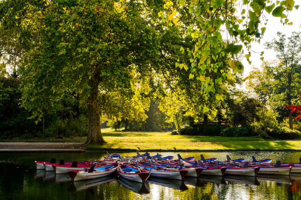 istock On the edge of a lake 1428974401