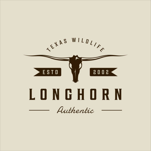 longhorn texas logo wektor vintage ilustracja szablon ikona graficzna. głowa czaszki krowy lub bawołu znak lub symbol dzikiej przyrody zwierząt lub biznesu rancza w stylu retro typografii - texas longhorn cattle horned bull long stock illustrations