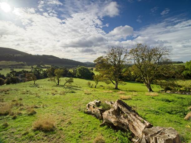 istock The view to The Cleveland Way 1428976546