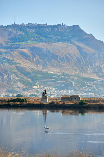 istock trapani salt pans and the  erice mount 1428976652