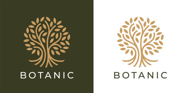 символ ботанического древа жизни - tree root environment symbol stock illustrations