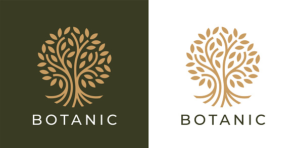 Botanic tree of life symbol. Natural product plant icon. Botanical wellness spa sign. Luxury floral boutique nature emblem. Premium oak tree vector illustration.