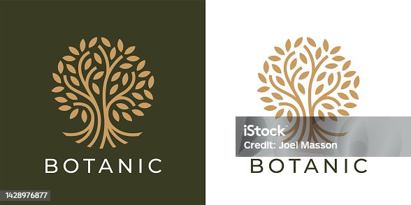 istock Botanic tree of life symbol 1428976877