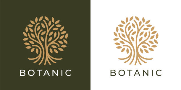 Botanic tree of life symbol Botanic tree of life symbol. Natural product plant icon. Botanical wellness spa sign. Luxury floral boutique nature emblem. Premium oak tree vector illustration. tree of life stock illustrations