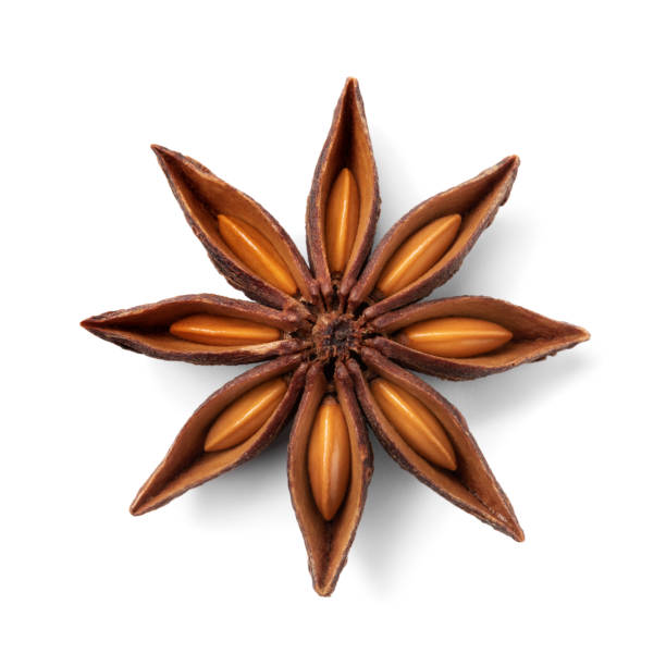 Single star anise and seed seen from above on white background