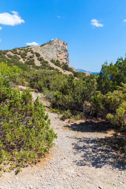 istock Golitsyn trail goes over rocky Black Sea coast 1428990236