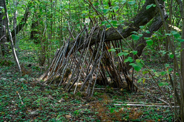 istock small hut built of sticks for kids 1428996129
