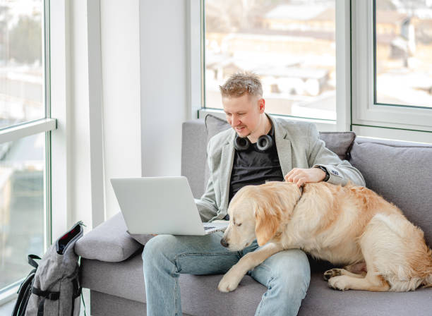 istock Businessman teleworking next to dog 1429016728
