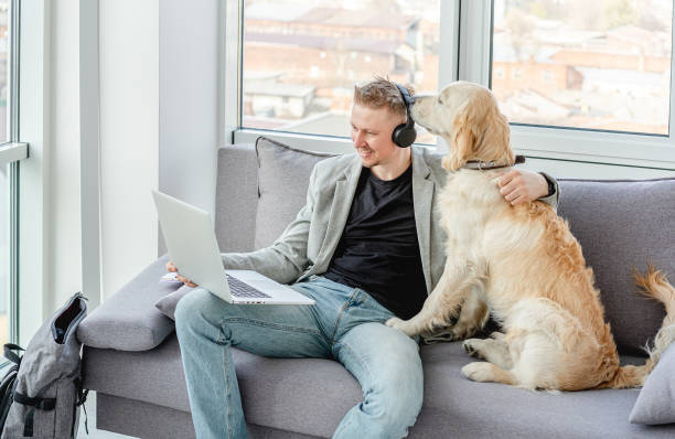 istock Businessman teleworking next to dog 1429016749