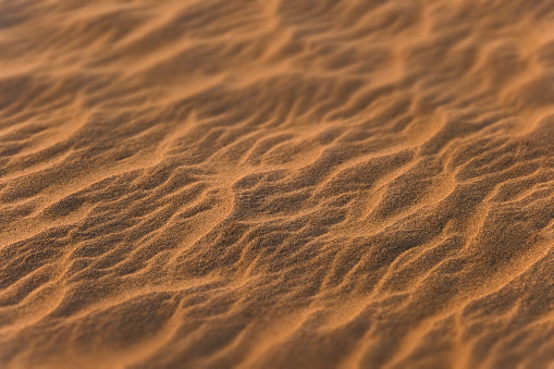 Close-up of a sand dune.  In the upper and lower areas of the image, intentional blurring is available for your text or design.