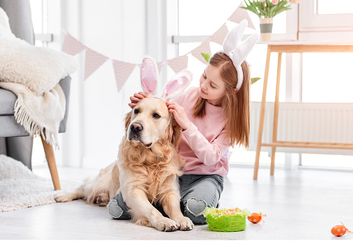 Little girl wearing bunny ears to golden retriever dog at Easter day in sunny room