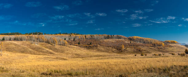 istock Fall colours in the valley. Ghost Land Use Area, Alberta, Canada 1429020845