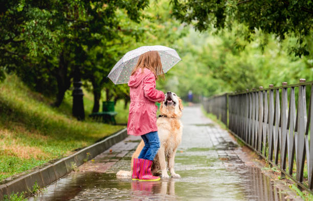 istock Little girl with dog under rain 1429022070