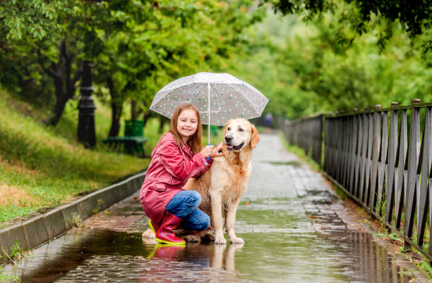 istock Little girl sharing umbrella with dog 1429022077