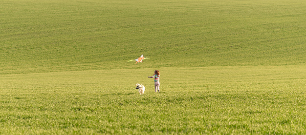 Happy little girl running with kite on green field