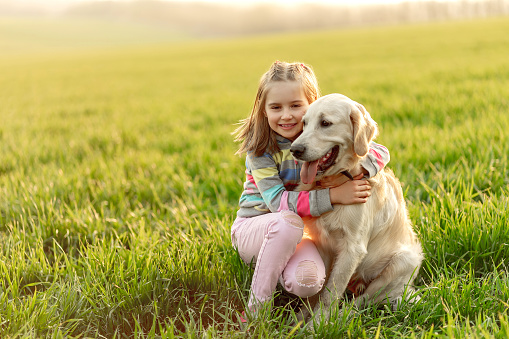 Cute little girl hugging beautiful dog on juicy green field