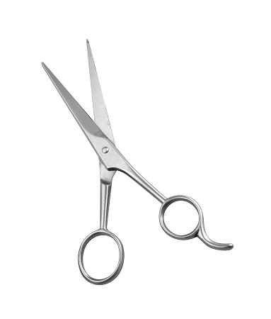 Professional Haircutting Scissors isolated on white background