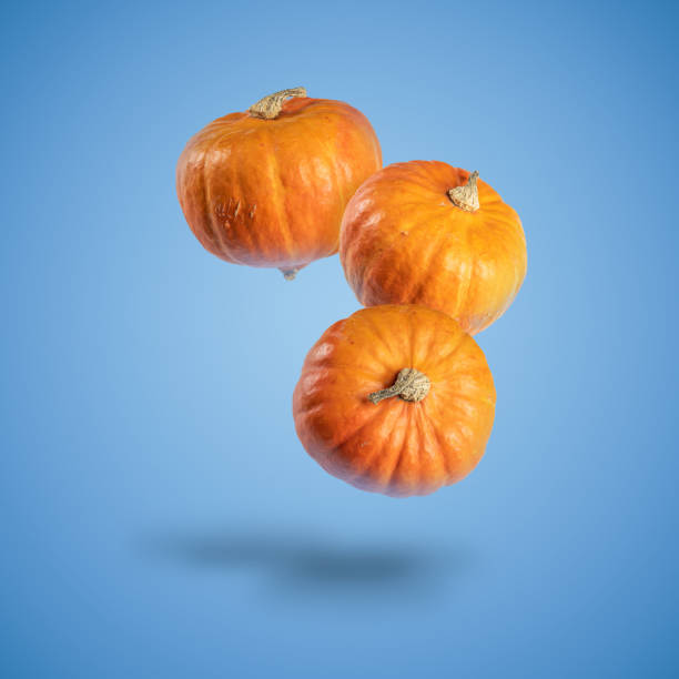 istock Three pumpkins levitating over a blue background. Halloween and Thanksgiving background 1429024599