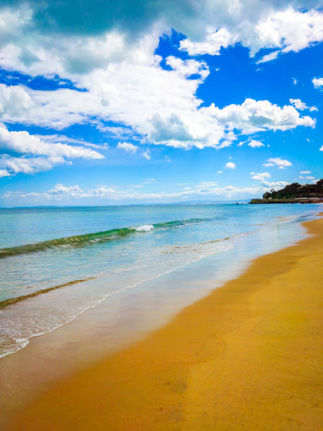 istock Cloudy day in the beautiful beach with waves. 1429025062