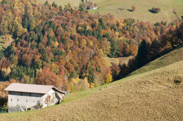 casa alpina italiana y bosques de otoño. zambla alta, italia - architecture bergamo blue building exterior fotografías e imágenes de stock