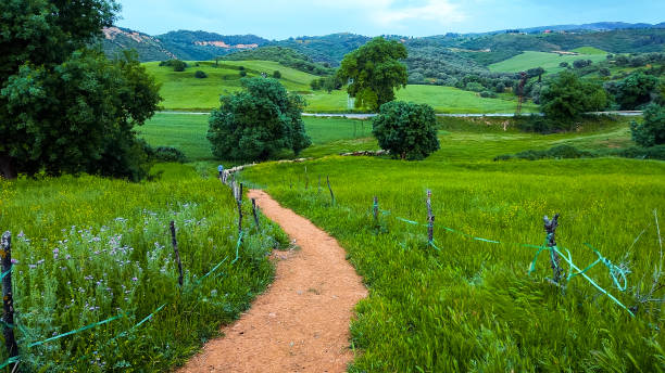 istock The beautiful village 1429029353