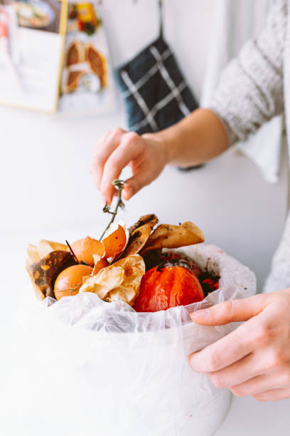 istock Bucket with biological garbage, food waste in biodegradable package 1429040967
