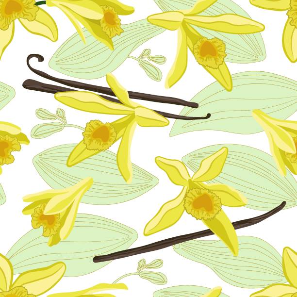 kuvapankkikuvitukset aiheesta kuvio saumattomat keltaiset vaniljakukat - yellow vanilla flower with green leaves