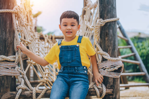 istock Asian boy playing  in playground 1429052655
