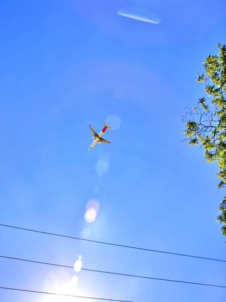 istock Airplane silhouette in the sky 1429053088